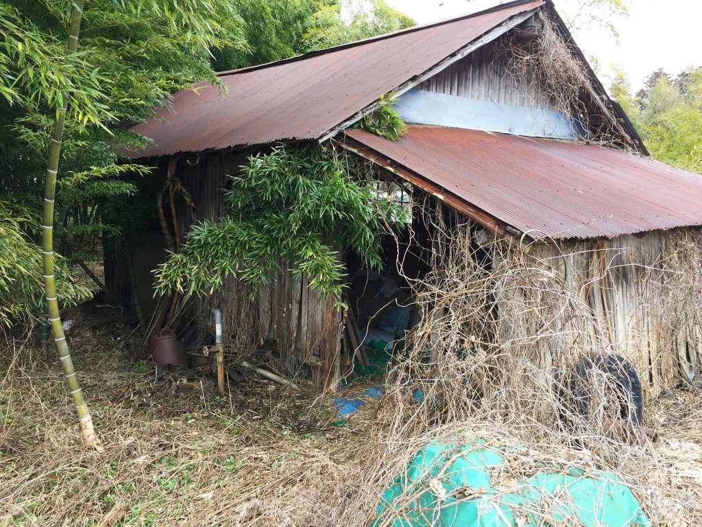 小屋を解体しました まえむき では無農薬 自然農法で野菜を栽培しています